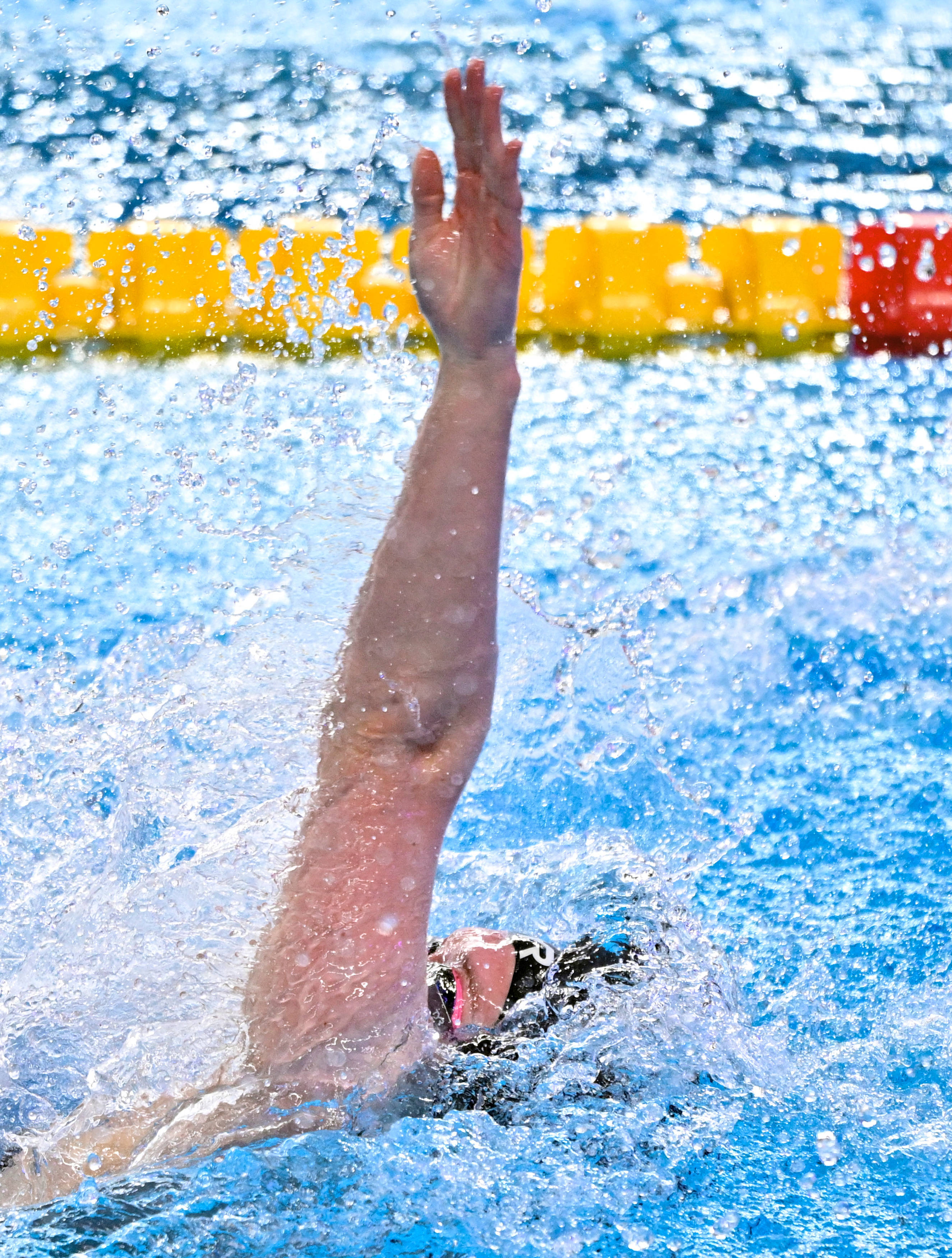 加拿大选手在游泳项目中实现突破