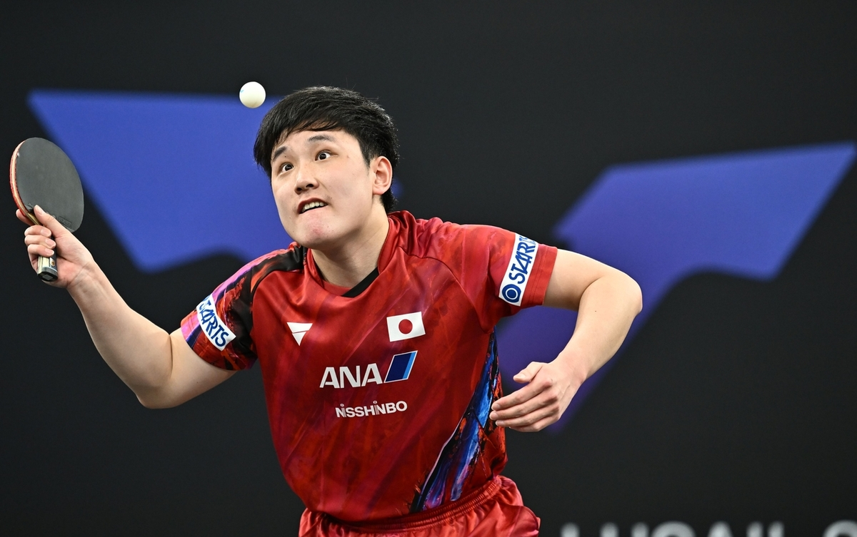 乐鱼官方网站-关于日本乒乓球队完胜比利时乒乓球队，波尔关键制胜的信息